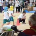 【保育学科】付属幼稚園の運動会を通して幼稚園の行事を体験しました！